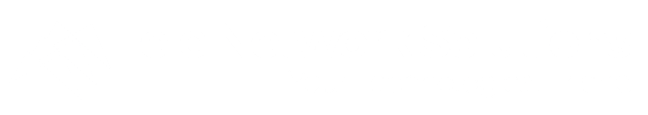Tele Network Solutions LLC